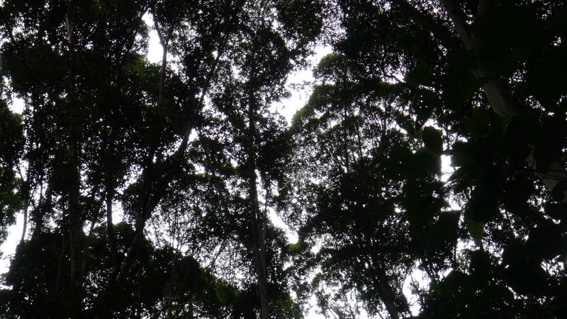 0937 DSC00112